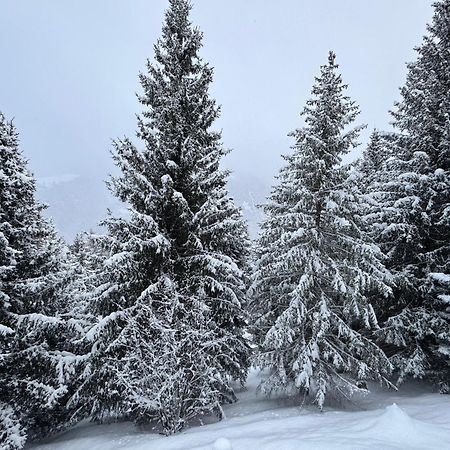 شقة Bellavista Marilleva 1400 - Val Di Sole المظهر الخارجي الصورة