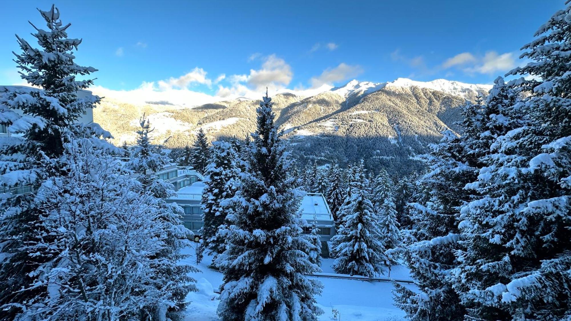 شقة Bellavista Marilleva 1400 - Val Di Sole المظهر الخارجي الصورة